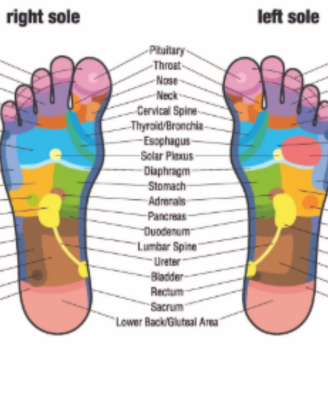Reflexology foot chart